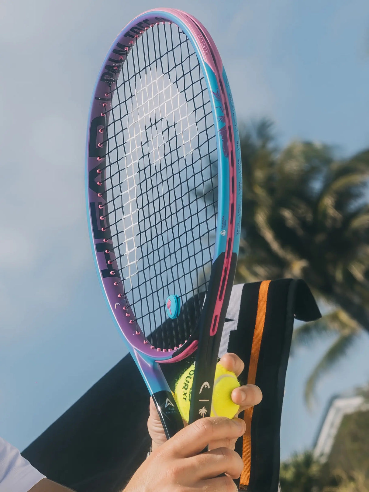 Radical MP Palm Tree 2025/2026